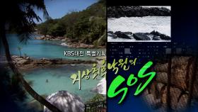 KBS대전 특별기획 지상 최후 낙원의 SOS / KBS대전 20091126 방송