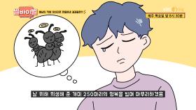 개미 250마리를 모은 썰남의 직업 정신으로 얻어낸 결과물은?! | KBS Joy 210513 방송