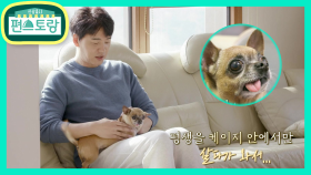 중년 박보검 김승수 동거인(?) 공개! 구조된 콩이에게 사랑 듬뿍♥ | KBS 210514 방송