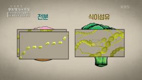 단순당의 중독의 원인성의 이유 | KBS 210519 방송