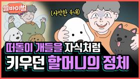 《사연툰》 애지중지 키웠던 떠돌이 강아지들을 뒤에서 팔아넘기고 있던 개장수 할머니의 두 얼굴의 사랑 [썰바이벌] | KBS Joy 210513 방송