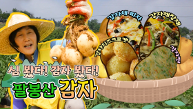 팔봉산 감자가 맛있단다! [6시N내고향] / KBS대전 방송