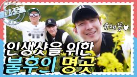 [배틀트립과 함께 떠나는 랜선여행 ＃29] - 제주도 후반전 | KBS 방송