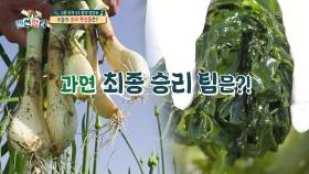뜨거운 열정의 함양파 팀 vs 미역요리 끝판왕의 고흥미역팀 과연 승자는?! | KBS 210630 방송