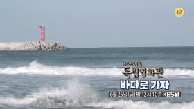 [예고] 6.25기획 김량 감독 ＜바다로 가자＞ | KBS 방송