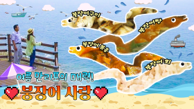 여름 만리포의 매력! 붕장어 사랑 [6시N내고향] / KBS대전 방송