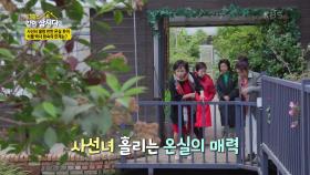 사선녀가 홀랑 반한 온실 투어 | KBS 210714 방송