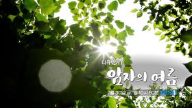 [예고] 암자의 여름 | KBS 방송