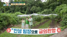 지난 패배는 남의 탓일뿐! 진성 팀장으로 금의 환향♨ | KBS 210825 방송