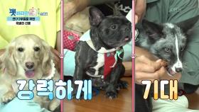 견(犬)우들을 위한 최영재의 특별한 선물! | KBS 210921 방송