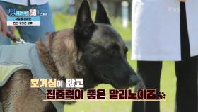 차종욱 민간 구조사와 민간 구조견 오투★ 오투가 한 대단한 일의 정체는~? | KBS 210922 방송