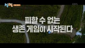 [예고] 인기척 하나 없는 이 곳에서 생존게임!? [1박 2일 시즌4] | KBS 211003 방송