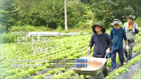 [예고] 도전, 농촌에서 살아보기 | KBS 방송