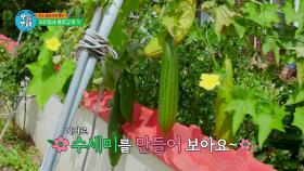 우리 동네 블로킹 하기! (ft. 천연 수세미) | KBS 211028 방송