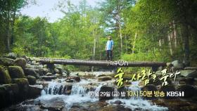 [예고] 숲, 사람을 품다 | KBS 211029 방송