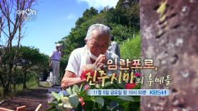 [예고] 임란포로, 진주시마의 후예들 | KBS 방송