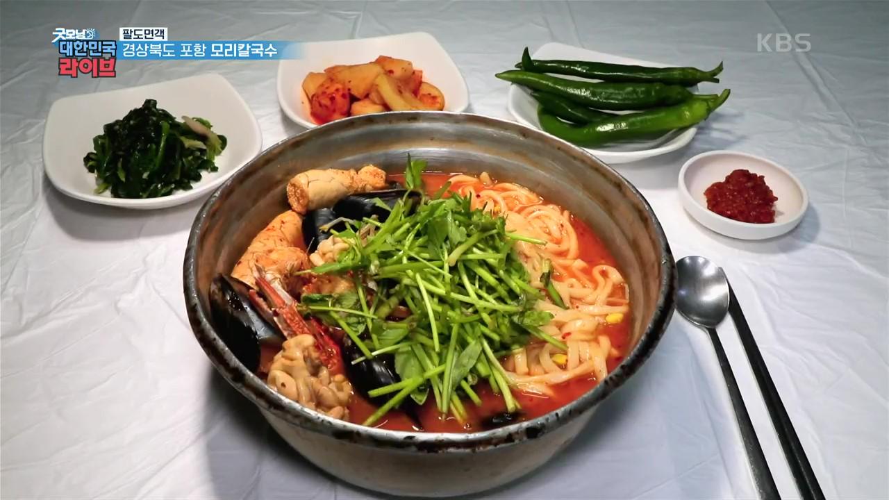 [팔도면객] 탱탱~ 쫄깃~ 그 자체! 포항 바다의 맛을 담은 모리칼국수 | KBS 211126 방송 | ZUM TV