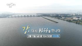 [예고] 강, 다시 바다를 만나다 | KBS 방송