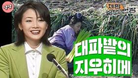[체험 삶의 현장][노동맨 6] 대파 밭에 나타난 지우히메!