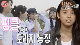 [체험 삶의 현장][노동맨 4] 도라지보다 나이어린 핑클! 18,19,20살ㅋㅋㅋㅋㅋ