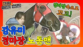 [체험 삶의 현장][노동맨 50] 예민하고 공격적인 경주마 기선 제압하는 강유미! 상대를 보고 행동해 퐈악！