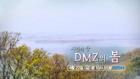 [예고] 사람의 땅 DMZ의 봄 | KBS 방송