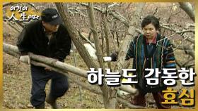 [이것이 인생이다＃50] 새로운 삶의 희망이 47뿌리의 산삼으로 찾아왔습니다 ㅣKBS 020122 방송