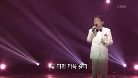 김국환 - 삼팔선의 봄 | KBS 210524 방송