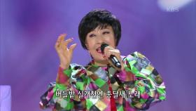 박재란 - 푸른 날개 | KBS 210315 방송