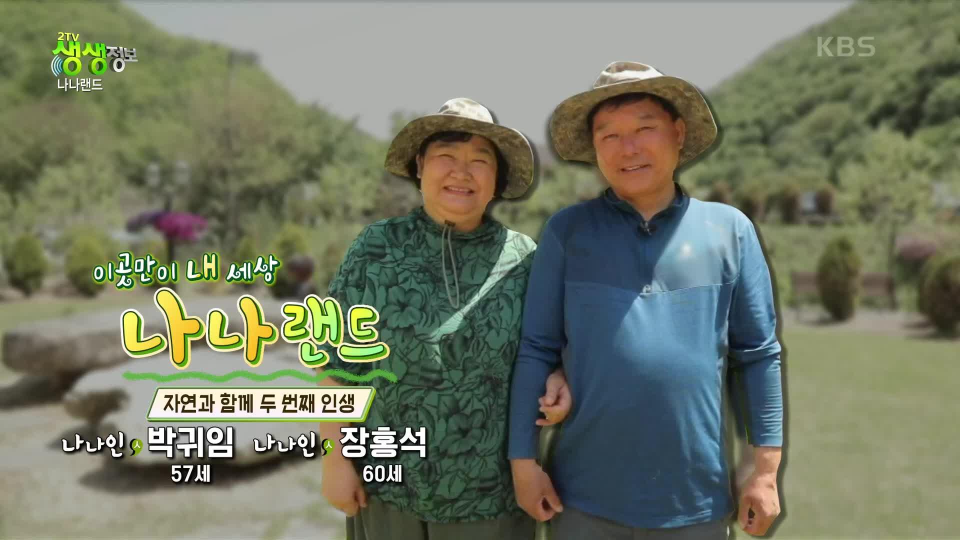 나나랜드: 지중해 스타일 집을 짓고 자연에서 두 번째 인생을 사는 부부 | KBS 220513 방송 | ZUM TV