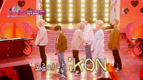 [미공개 영상] 아이코닉 앞에서 최초로 선보이는 iKON 이번 신곡★ ＜너라는 이유＞ | KBS 방송