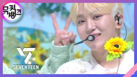 Darl+ing - SEVENTEEN | KBS 220527 방송
