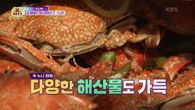 숙 누나를 위해 오늘은 조나단 플렉스! | KBS 220614 방송