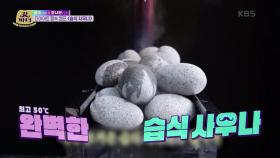 더운거 질색인 콩고 왕자, 숙이누나가 준비한 캠핑 사우나 | KBS 220628 방송