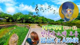 초록 초록한💚 대전 우암사적공원 걸으며🚶‍♂️ 듣는 잔나비 노래🎶 / KBS 방송