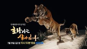 [예고] 호랑이는 살아있다 - 국제호랑이의 날 특집 | KBS 방송