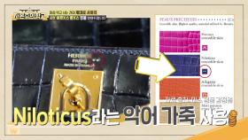 가방에 새겨진 가죽의 출생지(?) 가죽의 출처도 표기해야하는 정품 | KBS 220807 방송