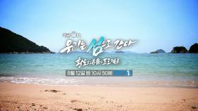 [예고] 우리는 섬으로 간다 - 활도(活島) 프로젝트 | KBS 방송