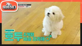발가락 집중 공략犬 아기 천사 비주얼 호두♥ | KBS 210308 방송