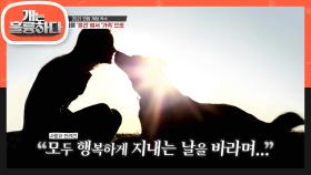 반려동물은 이제 가족이다! 2021 민법 개정 착수 시작★ | KBS 210405 방송