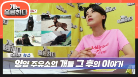 ※개훌륭 뉴스※ 방송 이후 양양 주유소의 개들의 이야기! (ft. 멤버들의 리즈 시절!) | KBS 210719 방송