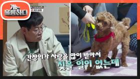 경규x도연 제자가 왔음에도 짖음을 멈추지 않는 간장이! | KBS 220124 방송
