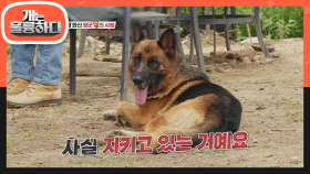 이곳의 터줏대감인 장군! 보호자를 위한 행동이었던 장군이의 행동들! | KBS 210913 방송