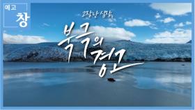 [예고] 창 384회: 고장난 심장, 북극의 경고 | KBS 방송