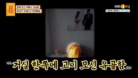 신혼집 거실에 둔 어머니 유골함, 아내가 무섭다고 반대합니다.. | KBS Joy 220829 방송