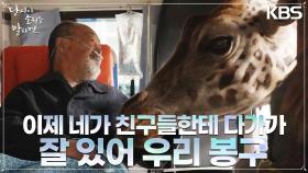 차에 기린이?! 전직 사육사인 어르신의 마지막 소원을 들어드리는 팀 지니 | KBS 220901 방송