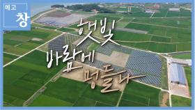 [예고] 창386회 : ‘햇빛·바람’에 멍들다 | KBS 방송
