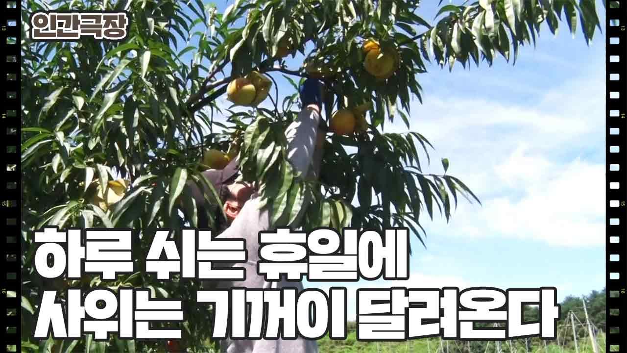 [유청이라 하옵니다] (10/15) [인간극장/Screening Humanity] | KBS 220923 방송 | ZUM TV