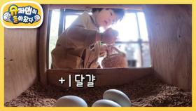 [김동현네] 겁 없는 단우의 달걀 서리(?) 타임! (ft. 동현 아빠 구출 작전) | KBS 221007 방송