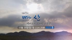 [예고] 백마고지 승전 70주년 기념, 뼈의 산- 백마고지 | KBS 방송